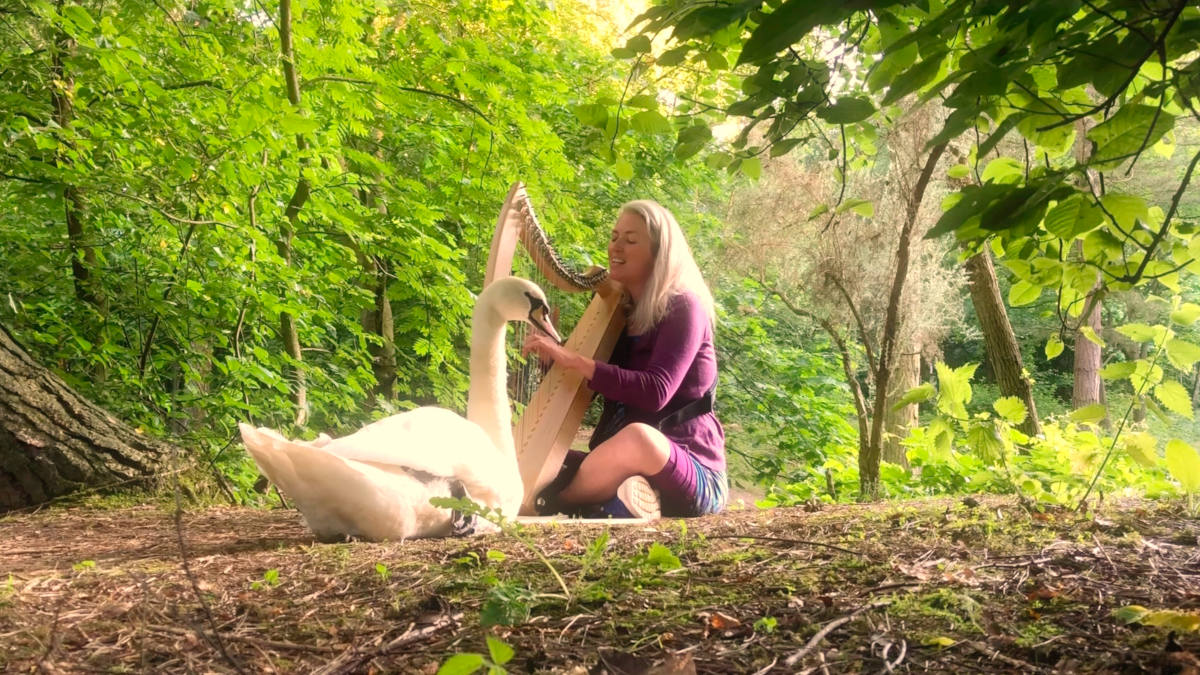 Photograph of harpist Holly Honeychurch with a swan in audience